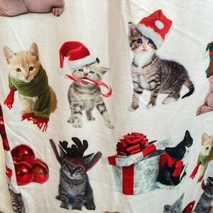 Brief Insanity Lounge Pants New